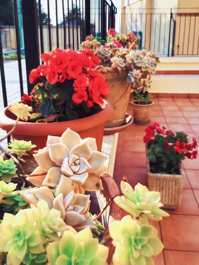Rifugio A Mottola Apartment Ngoại thất bức ảnh